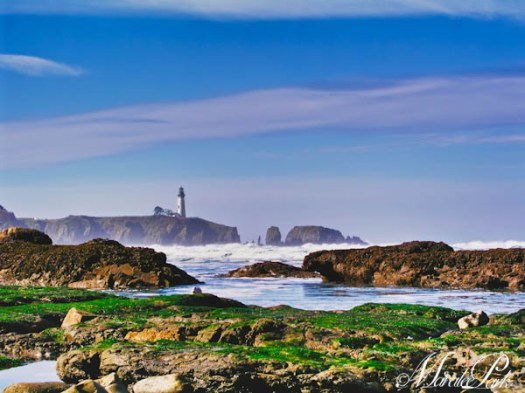 Maralee_Park_040316_04906_HDR