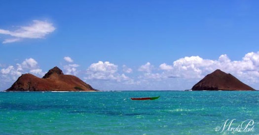 Maralee_Park_041129_05743-Edit