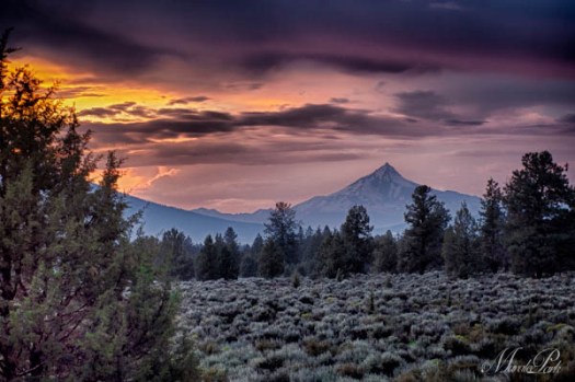 Maralee_Park_070703_04790_HDR