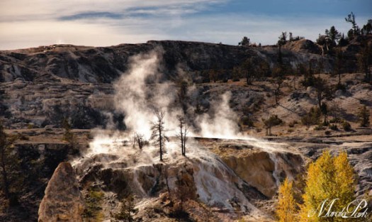 Maralee_Park_101013_08435-Edit