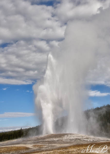 Old Faithful