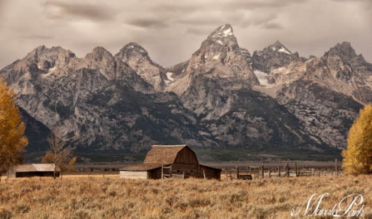 Maralee_Park_101015_09319-Edit