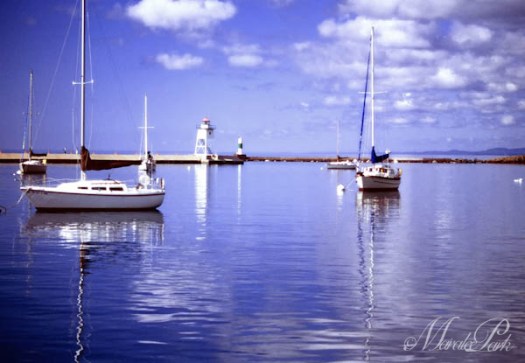 Maralee_Park_110423_06636