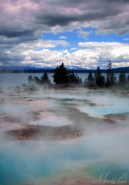 Maralee_Park_110514_06631