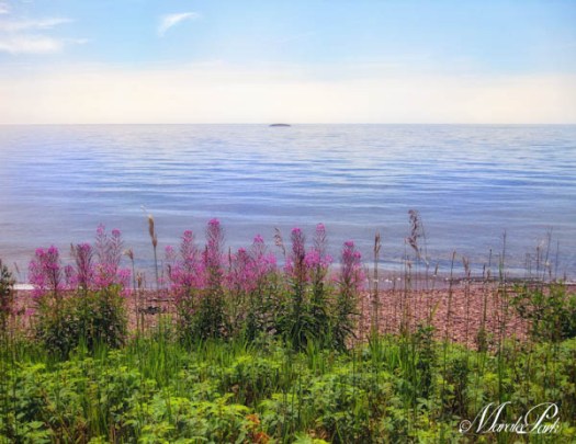 Maralee_Park_110805_08602-Edit-Edit-Edit