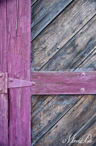 Maralee_Park_110806_08472-Edit