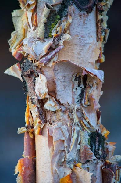 Maralee_Park_130201_42557-Edit