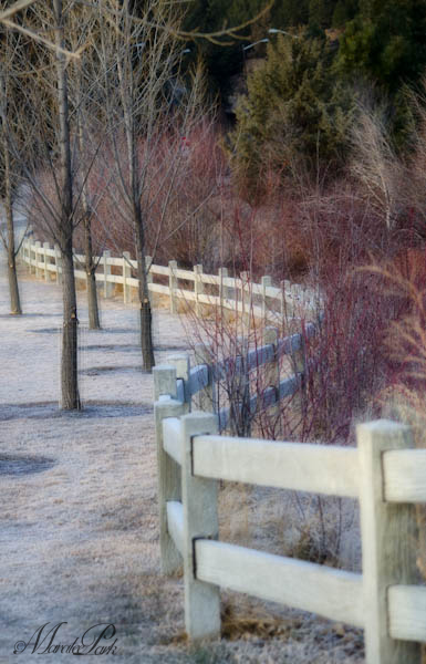 Maralee_Park_130201_42592-Edit
