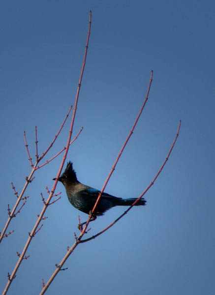 Maralee_Park_130202_42683-Edit