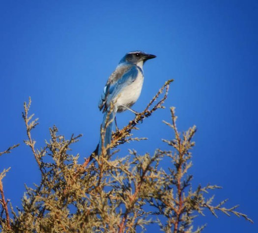 Maralee_Park_130202_42714-Edit