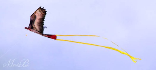 Maralee_Park_130216_43106-Edit