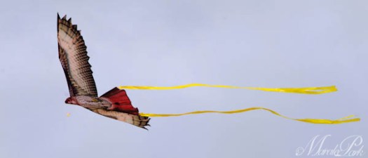 Maralee_Park_130216_43107-Edit