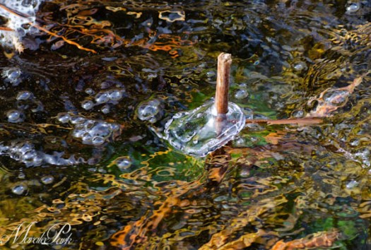 Maralee_Park_130224_43343-Edit