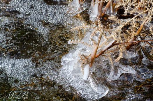 Maralee_Park_130224_43344-Edit