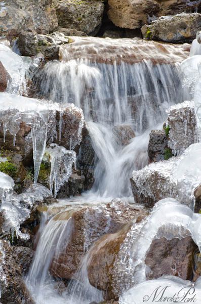 Maralee_Park_130224_43357-Edit