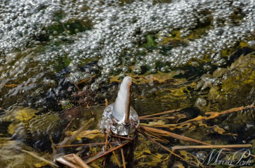 Maralee_Park_130224_43395-Edit