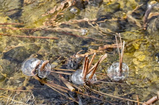 Maralee_Park_130224_43398-Edit