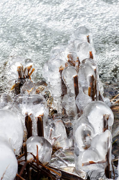 Maralee_Park_130224_43402-Edit