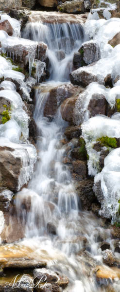 Maralee_Park_130224_43462-Edit-Edit