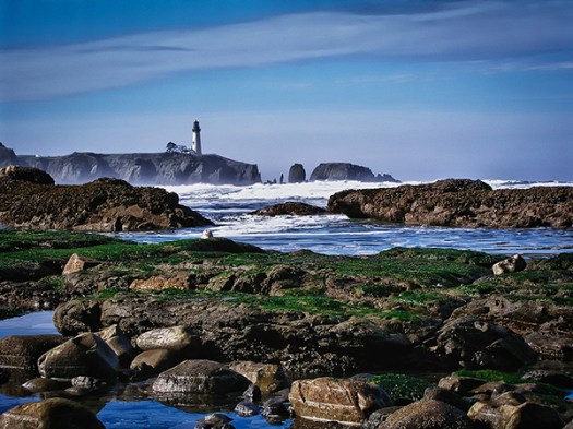 OREGON COAST - NEWPORT