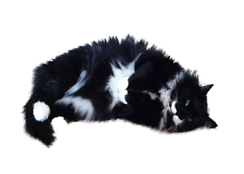 Tux lying down