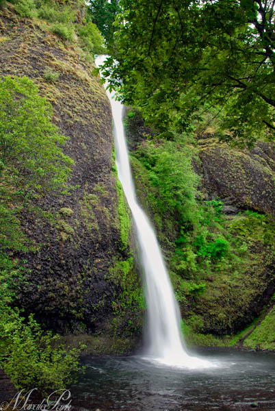 Maralee_Park_110615_07686-Edit