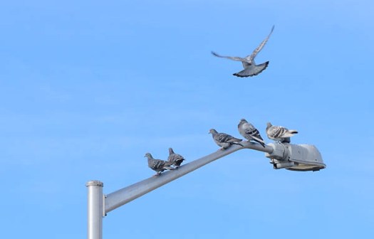 Maralee_Park_130224_43489-Edit-2