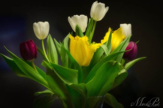 Maralee_Park_130306_43718-Edit