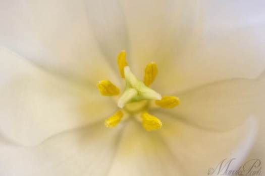 Maralee_Park_130307_43750-Edit