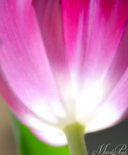 Maralee_Park_130309_43848-Edit