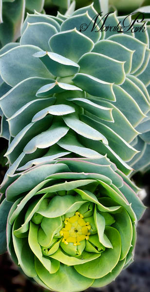 Maralee_Park_130316_44037-Edit