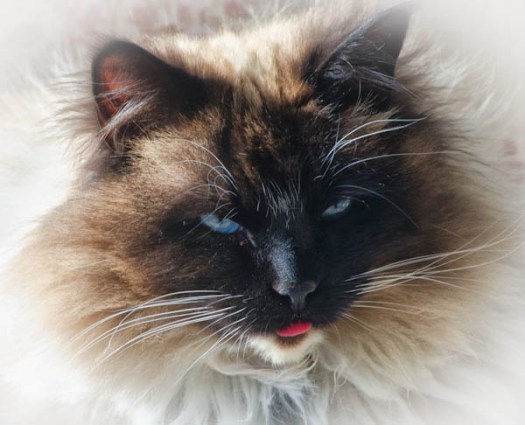 Maralee_Park_130323_44582-Edit