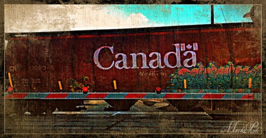 We happened to be the first car at a train stop so I took a couple of shots of the passing train.