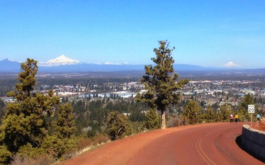 Mt. Jefferson to the left of the tree and Mt. Hood to the right.