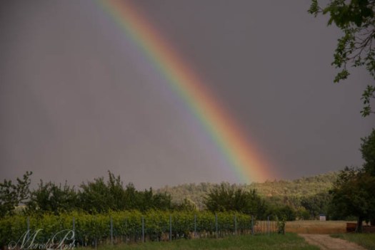 Aquaviva, Tuscany, Italy