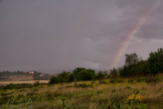 Aquaviva, Tuscany, Italy