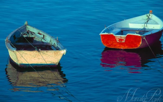 Maralee_Park_110226_04487