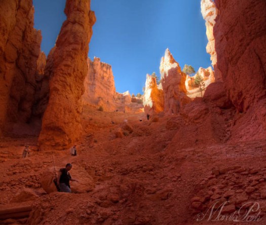 Maralee_Park_111020_10314-Edit-2