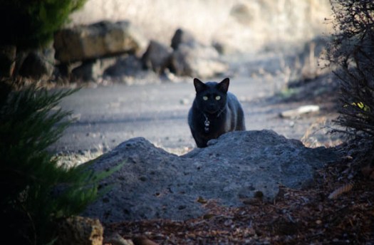 Maralee_Park_130330_44750-Edit