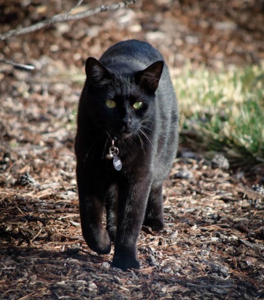 Maralee_Park_130330_44752-Edit