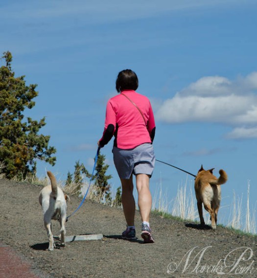 Maralee_Park_130402_44876-Edit