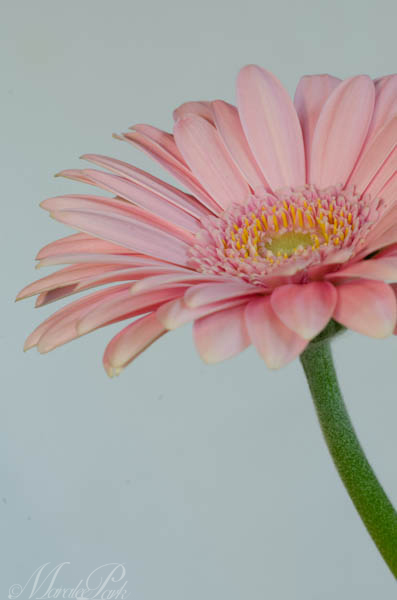 Aperture at f20, shuttter at 1/3