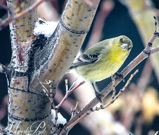 "What!?  You talking to me?"