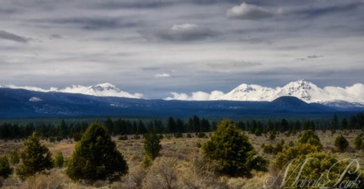 Maralee_Park_130417_45825-Edit-2