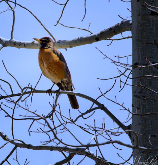 Maralee_Park_130423_46076-Edit