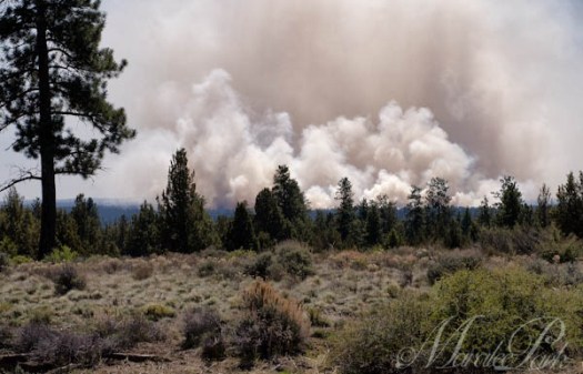 Maralee_Park_130423_46085-Edit