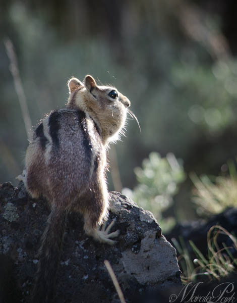 Maralee_Park_130423_46126-Edit