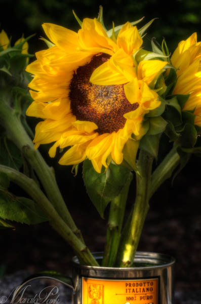 Maralee_Park_130427_46284_3_2