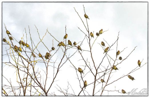 Maralee_Park_130515_47393-Edit-Edit