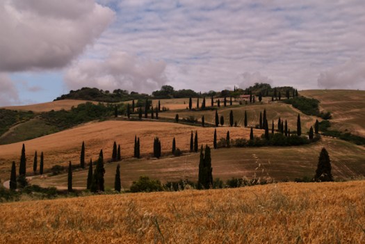 Maralee_Park_070530_01127-Edit